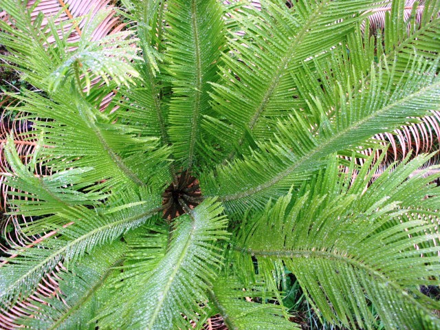 HPIM0768.JPG