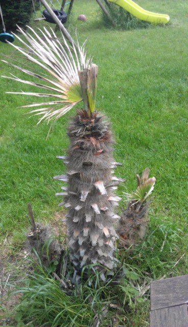 IMAG0144.jpg