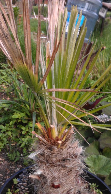 IMAG0156.jpg