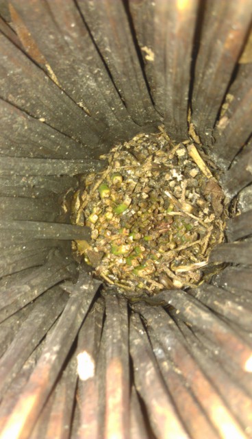IMAG0146.jpg