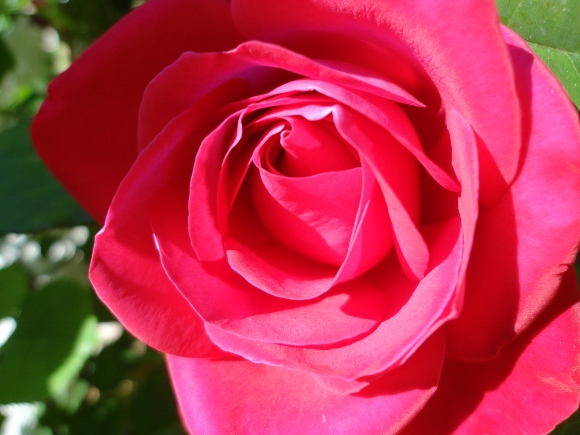 DSC02442 (580x435).jpg