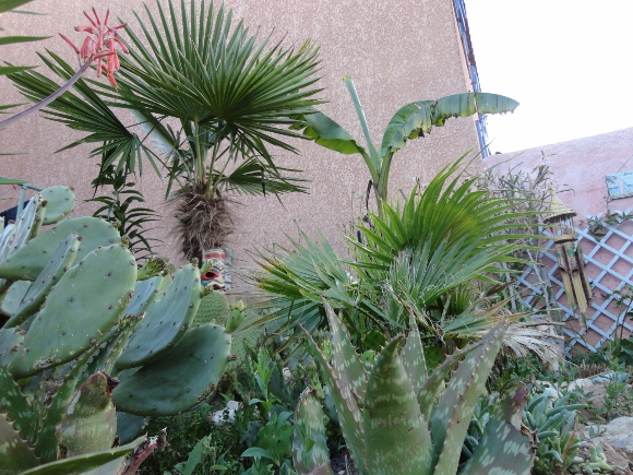 DSC02447 (580x435).jpg