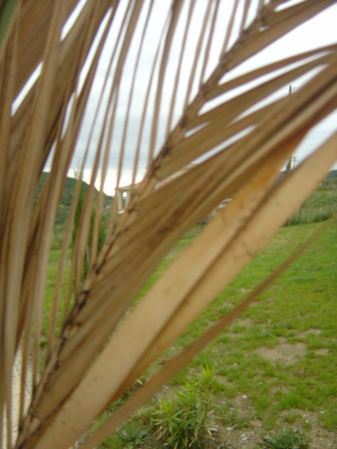 fin mai 2012 002.jpg