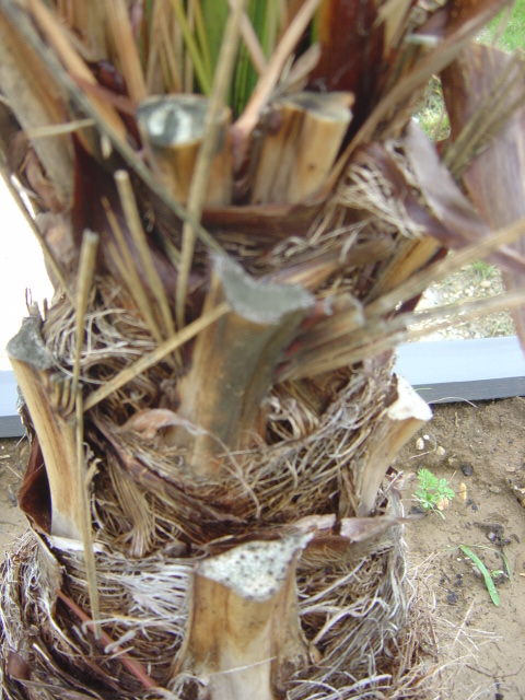 fin mai 2012 003.jpg