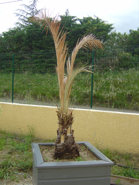 fin mai 2012 006.jpg