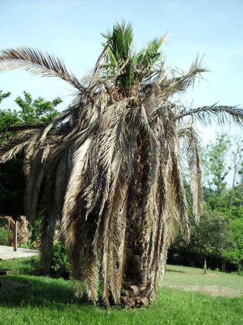 HPIM0777.JPG