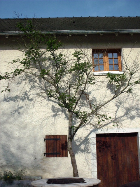 HPIM0781.JPG