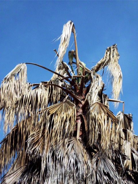 HPIM0779.JPG