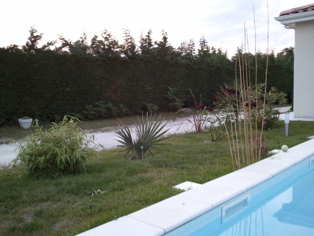 jardin sud 290512 2.jpg