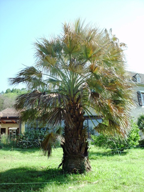 HPIM0785.JPG