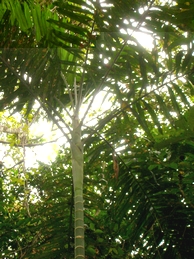 DSCN5007.JPG