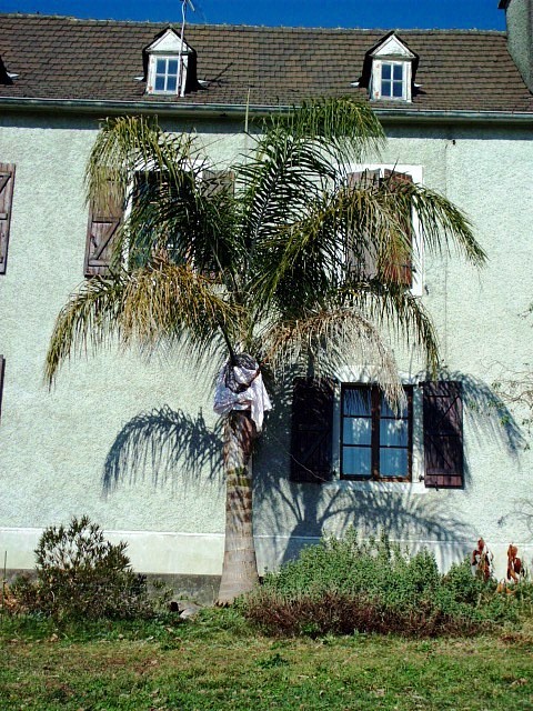 HPIM0379.JPG