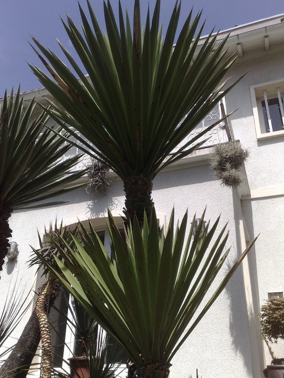 020620122534.jpg