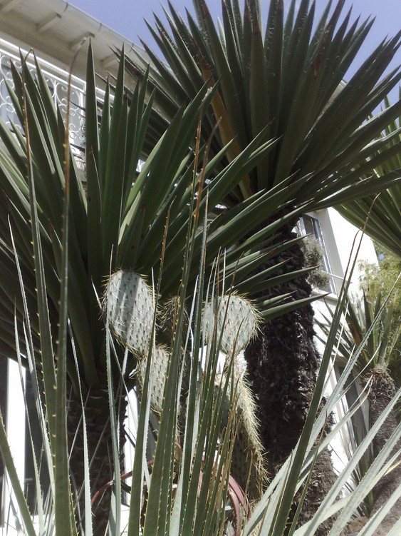 020620122536.jpg