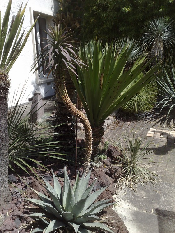 020620122539.jpg