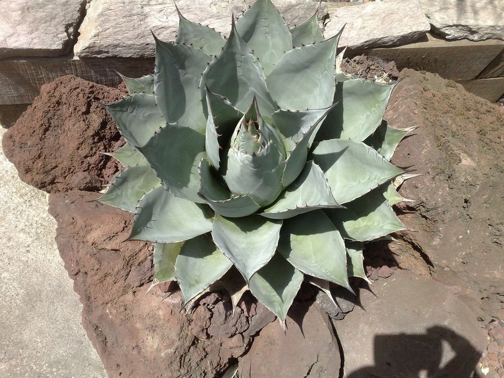 020620122540.jpg