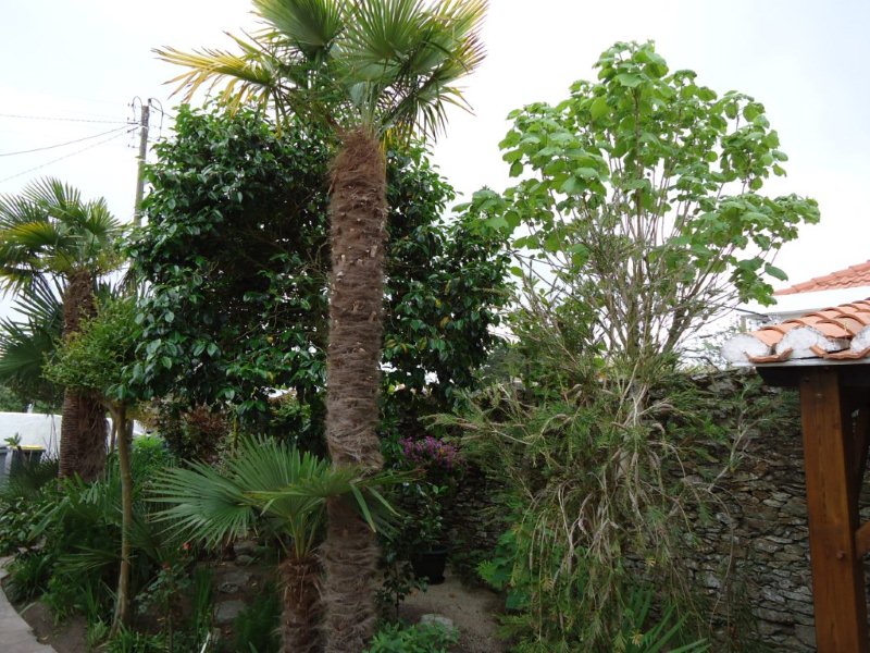 DSC00671 Jardin de Joël.jpg