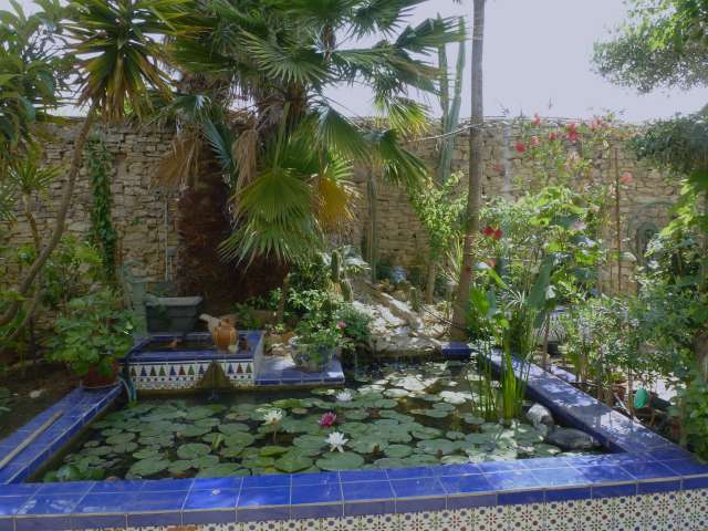 2 juin 2012  mon jardin 008_PhotoRedukto.jpg