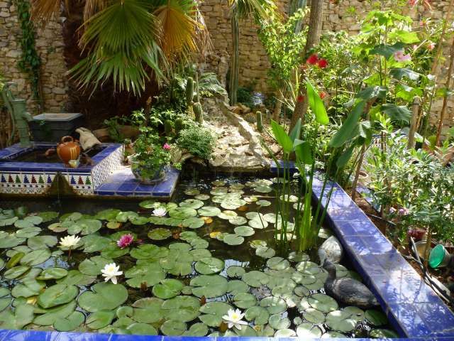 2 juin 2012  mon jardin 003_PhotoRedukto.jpg