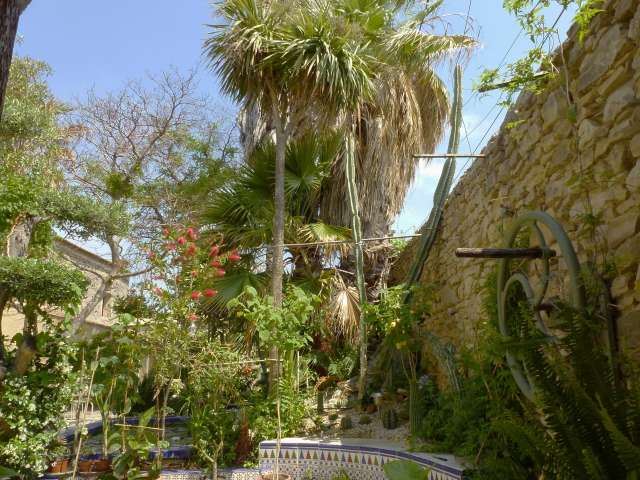 2 juin 2012  mon jardin 012_PhotoRedukto.jpg
