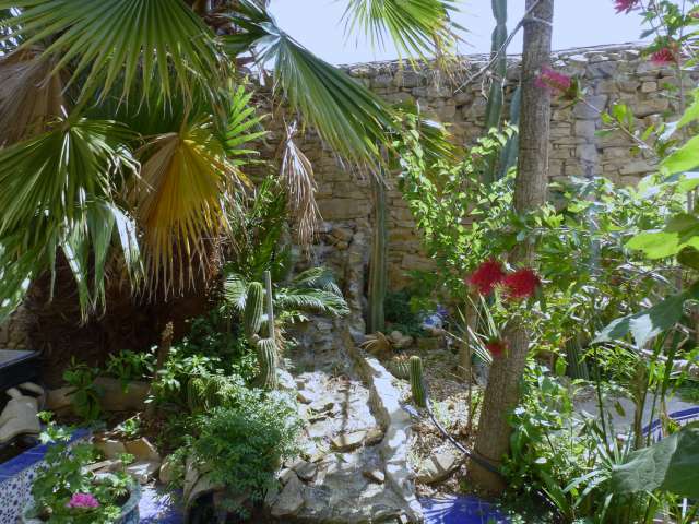 2 juin 2012  mon jardin 009_PhotoRedukto.jpg