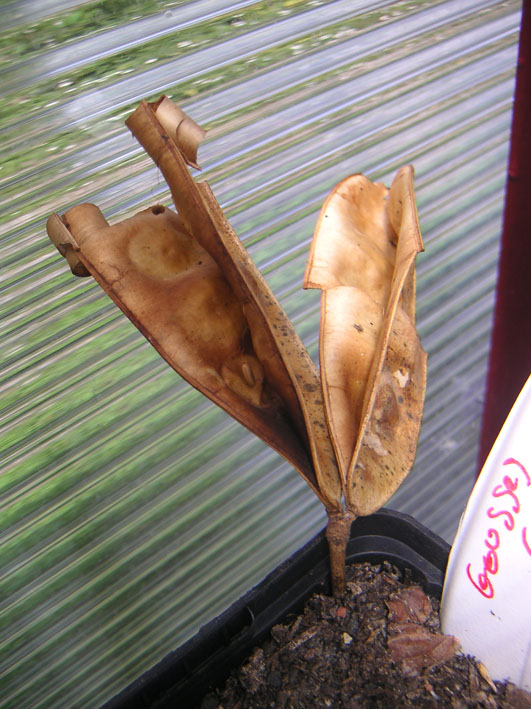 PICT0021'.jpg