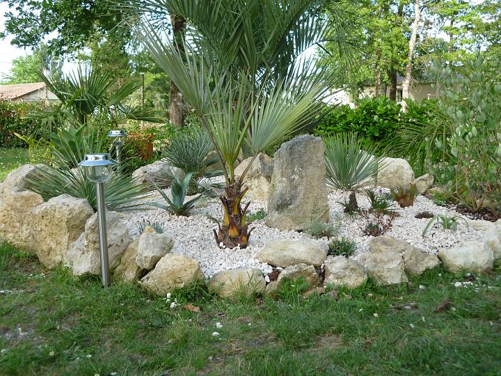 010.JPG