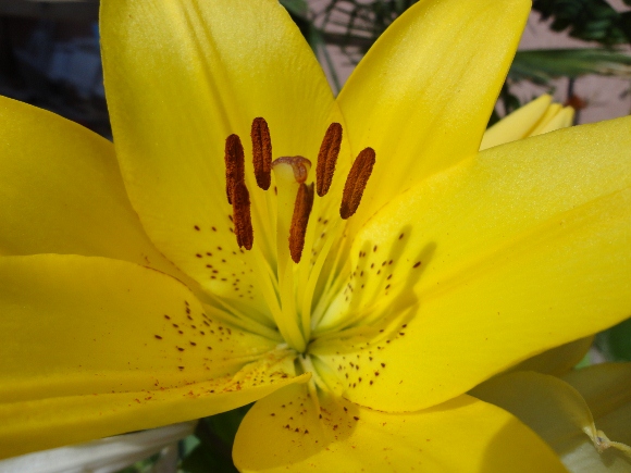 DSC02578 (580x435).jpg