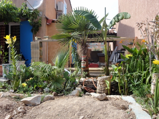 DSC02583 (550x413).jpg