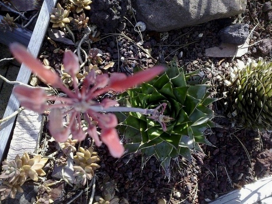 080620122559.jpg