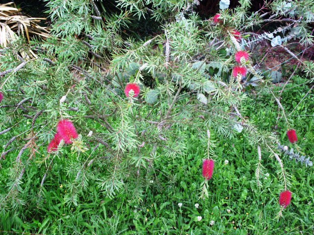 HPIM0787.JPG
