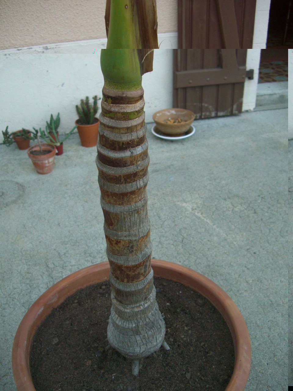 Cimg8302.jpg