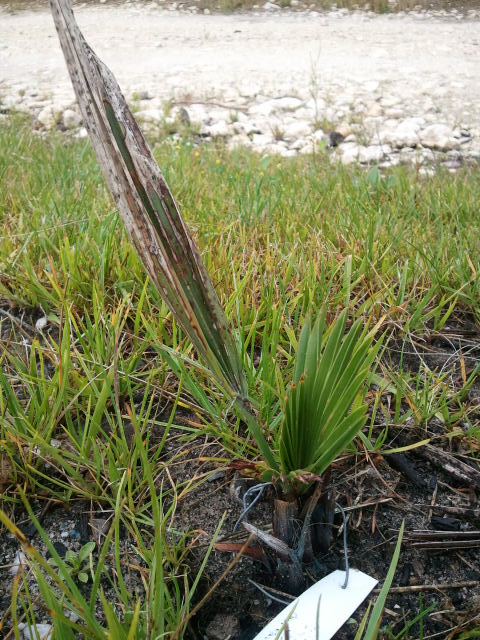 2012-06-11 09.14.38.jpg