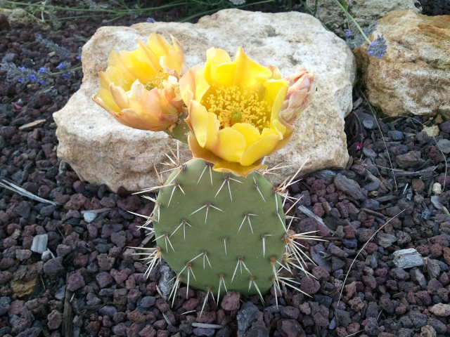 2012-06-12 20.55.13.jpg