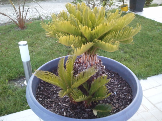 2012-06-12 21.56.49.jpg