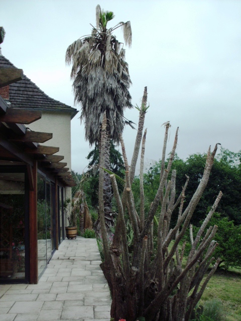 HPIM0795.JPG