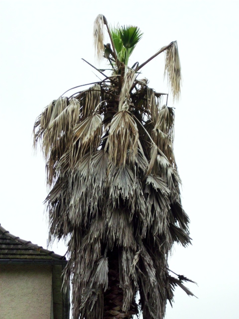 HPIM0793.JPG