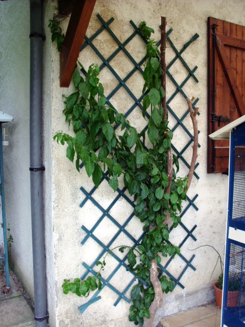 HPIM0796.JPG