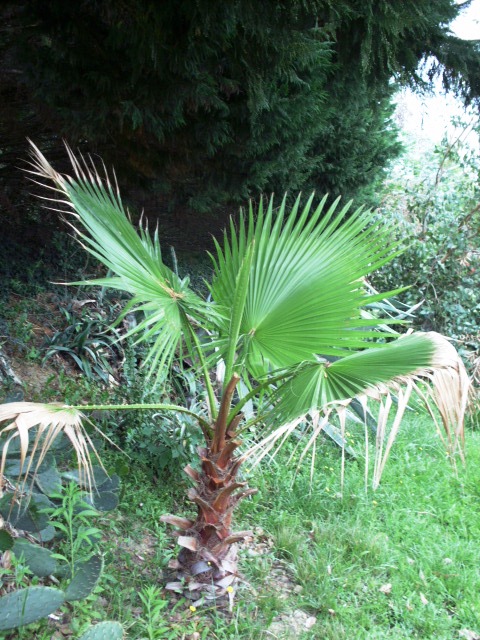 HPIM0803.JPG