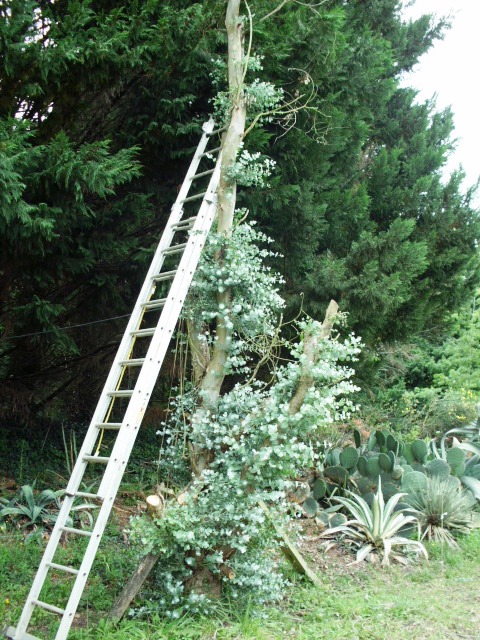 HPIM0805.JPG