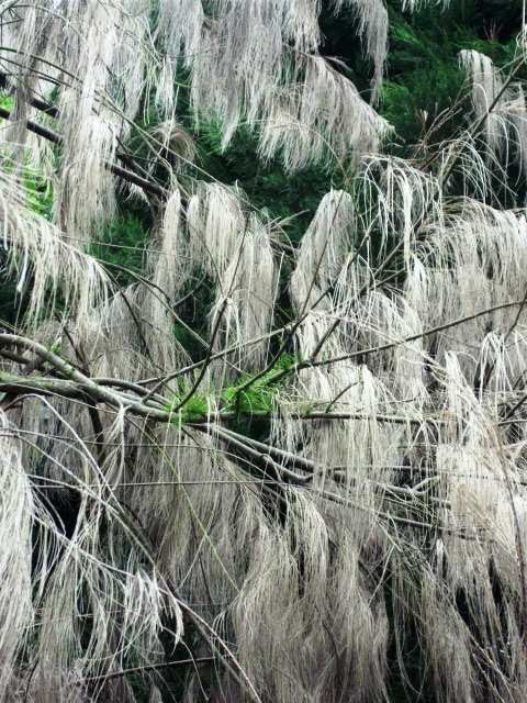 HPIM0807.JPG