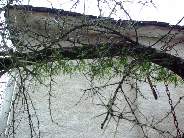 HPIM0818.JPG
