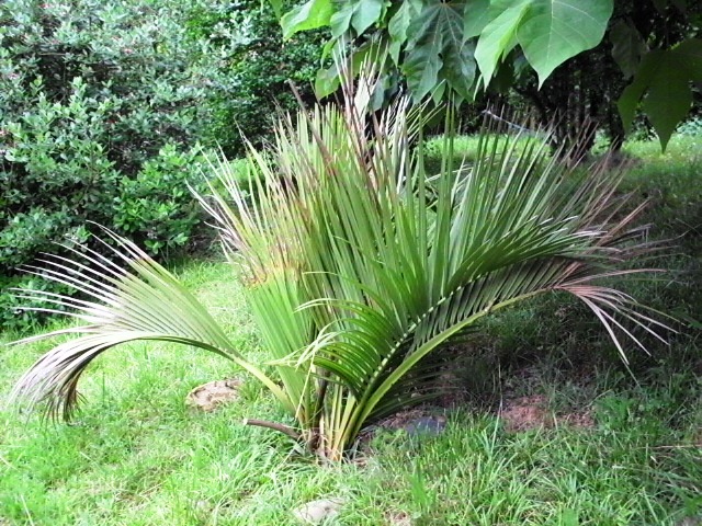 HPIM0820.JPG