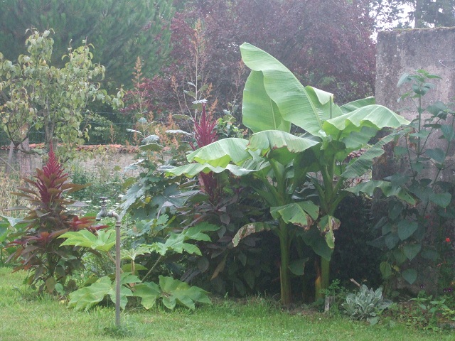 DSCF5749.JPG