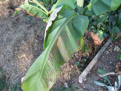 DSCF4631.JPG