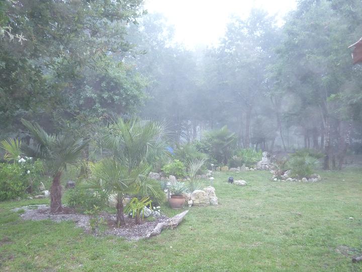 072.JPG