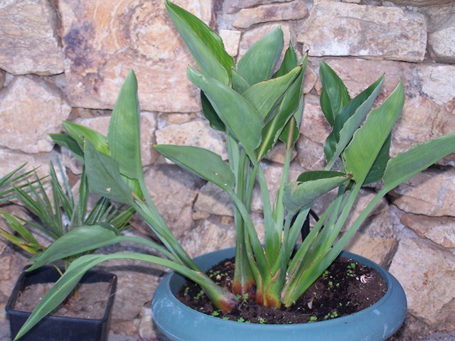 100_3812 (Copier).JPG