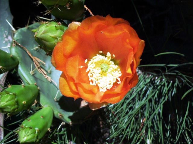 HPIM0826.JPG