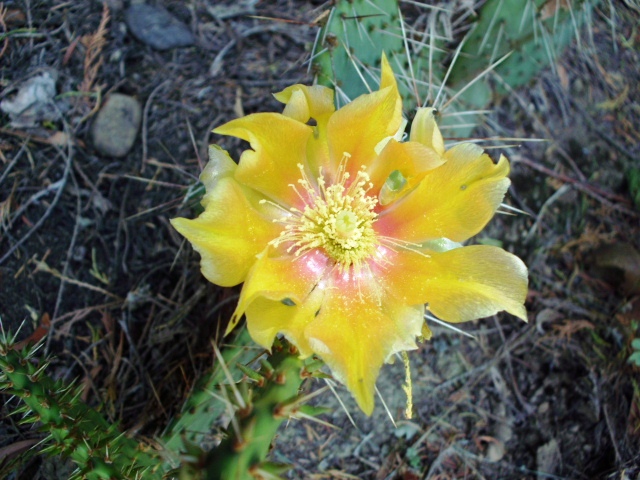 HPIM0827.JPG