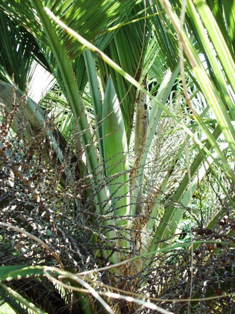 HPIM0830.JPG